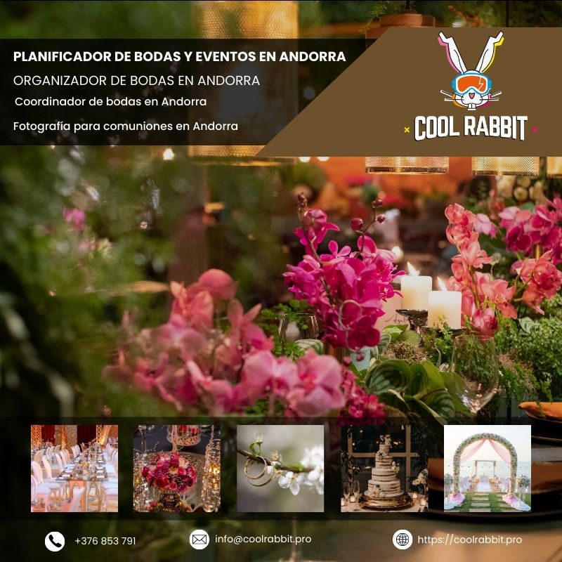 Cool Rabbit: Alquiler de Equipos de Iluminación para Eventos en Andorra